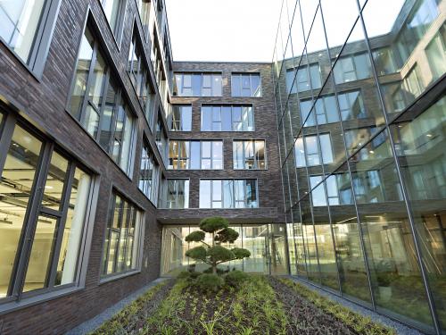 Atrium with grasses and groundcover